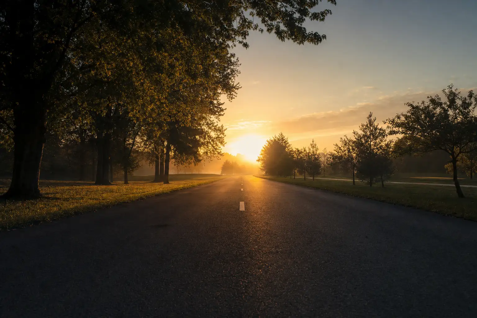 Route de course à pied bordée d’arbres au lever du soleil